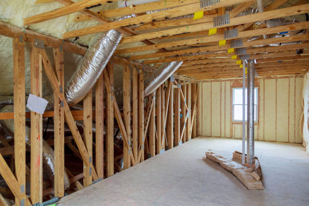 Professional Insulation Contractor in Mount Pleasant, SC