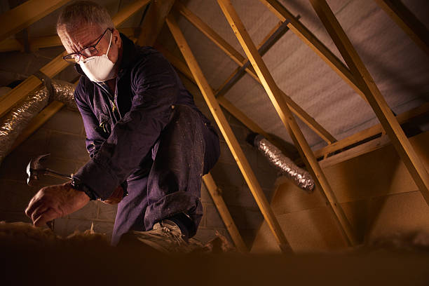 Best Insulation Maintenance and Repair in Mount Pleasant, SC