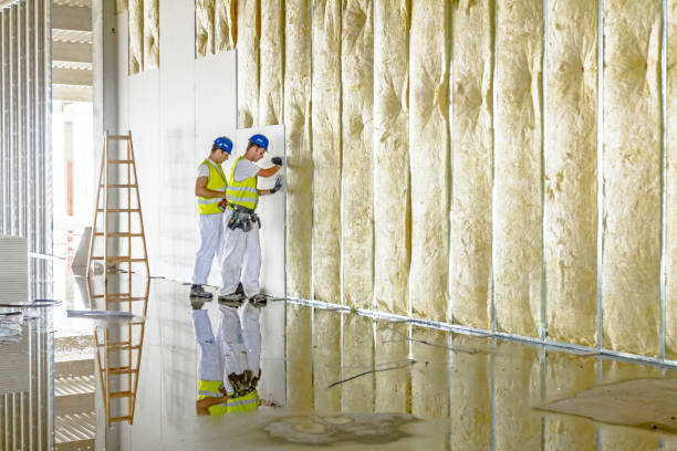 Best Geographic-Specific Insulation Services in Mount Pleasant, SC